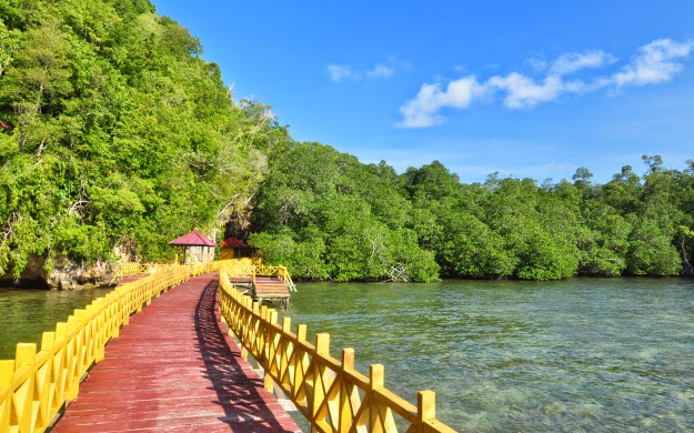 wisata hutan mangrove sedari karawang
