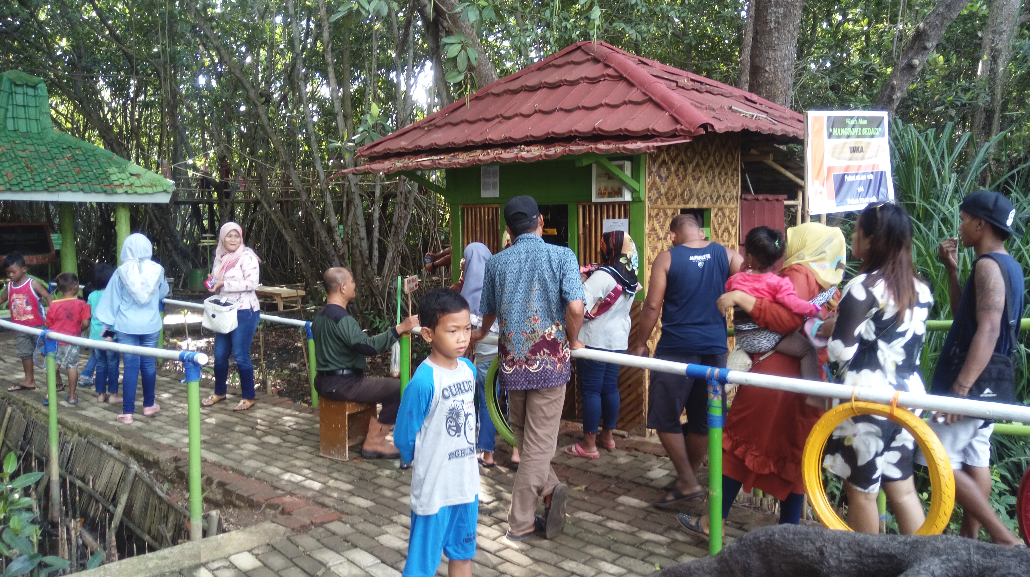 wisata hutan mangrove sedari karawang