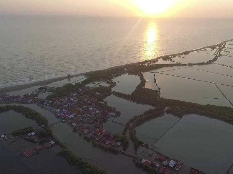Wilayah konservatif Wisata Hutan Mangrove Sedari&nbsp;Karawang